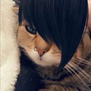 Meet your Posher, Natalie